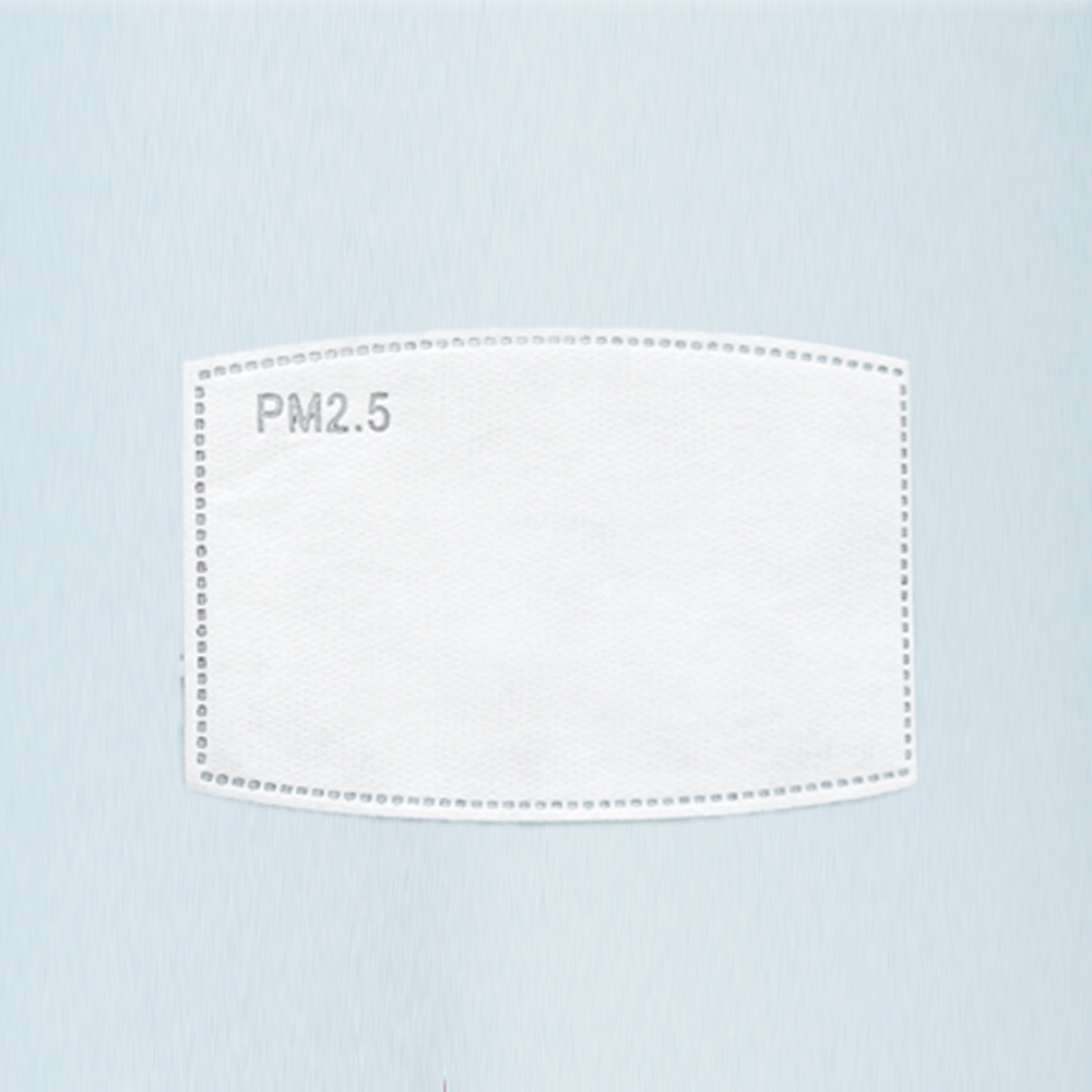 PM2.5 Filter for Face Masks - Sistar Cosmetics